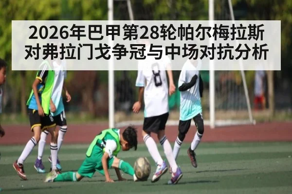 2026年巴甲第28轮帕尔梅拉斯对弗拉门戈争冠与中场对抗分析（MKSPORTS）